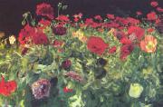 John Singer Sargent Poppies Norge oil painting reproduction